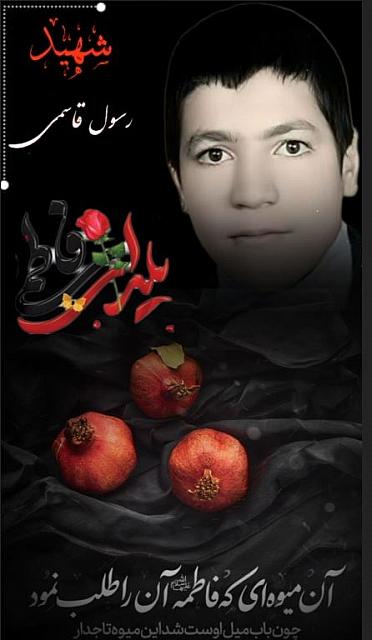 shahid313 (18)