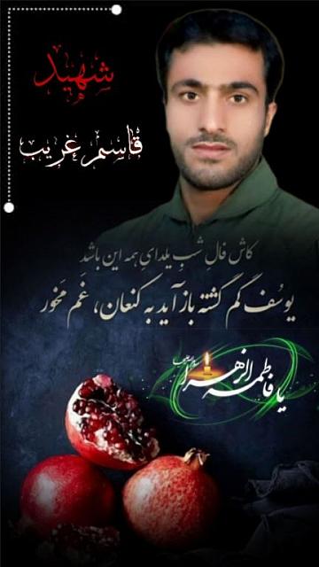 shahid313 (222)