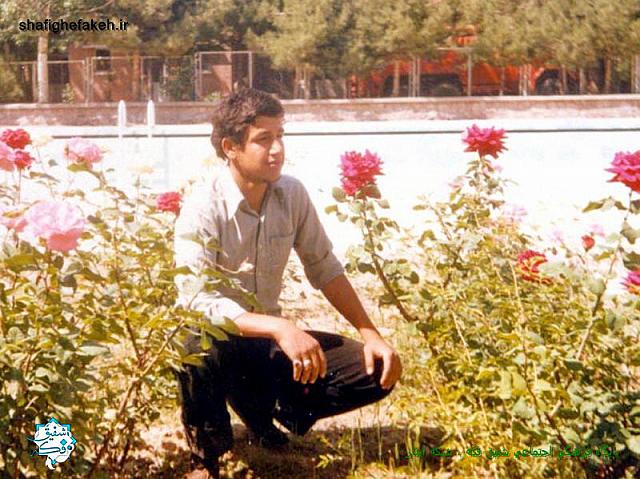 shahid askandarloo (35)