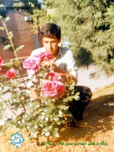 shahid askandarloo (61)