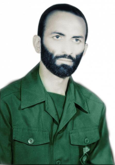 alavi5