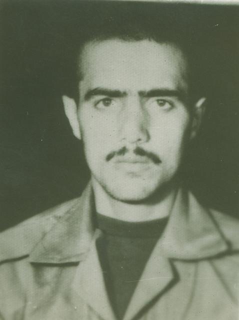 alizadeh2