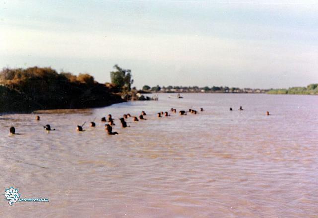 ghavasan (212)