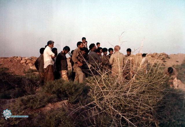 razmandegan (594)