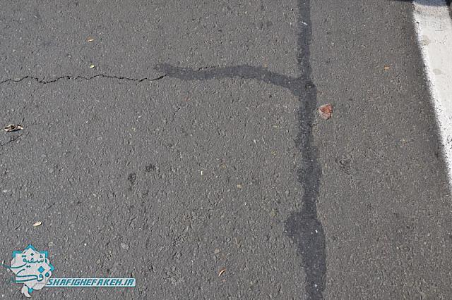 DSC 0605