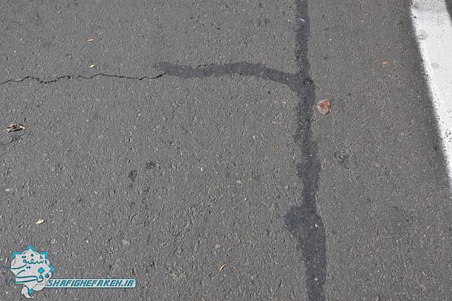 DSC 0606