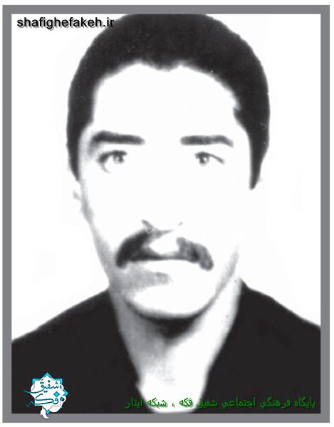 شهید حامد احمدی
