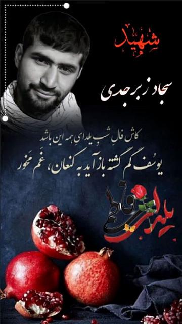 shahid313 (59)