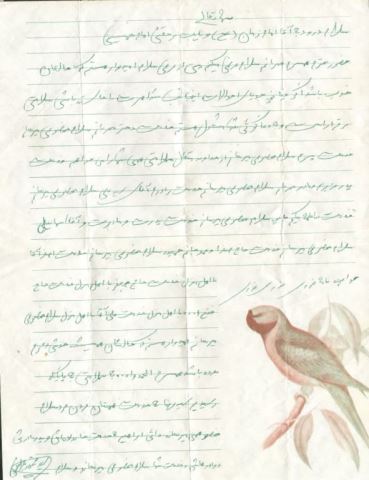 shahidrobatjazi (54)