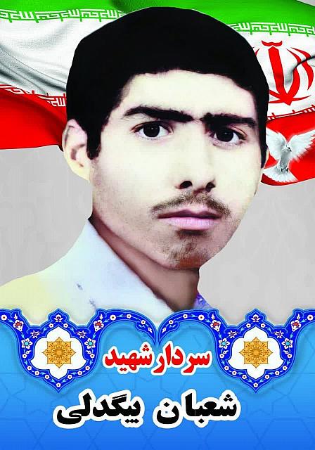شهید جواد بیگدلی