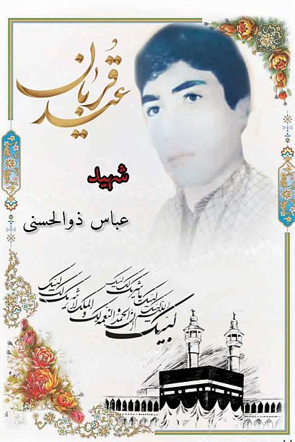 zolhasani (2)