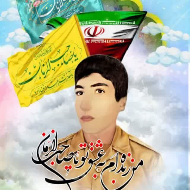 zolhasani (4)