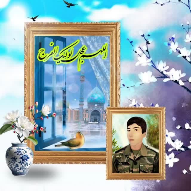 zolhasani (5)