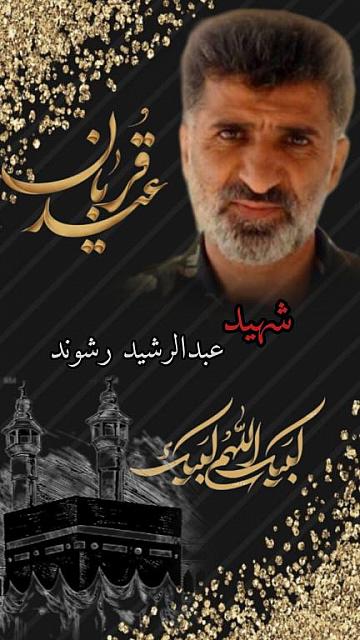 shahid313 (181)
