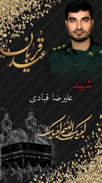 shahid313 (216)