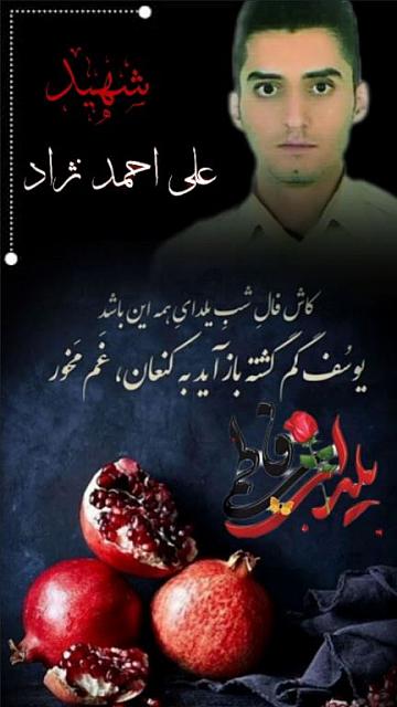 shahid313 (183)
