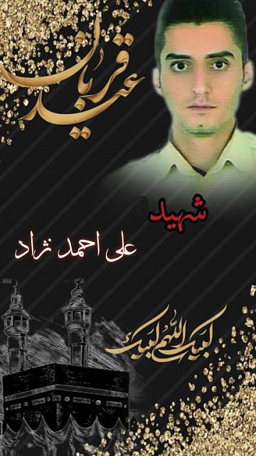 shahid313 (185)