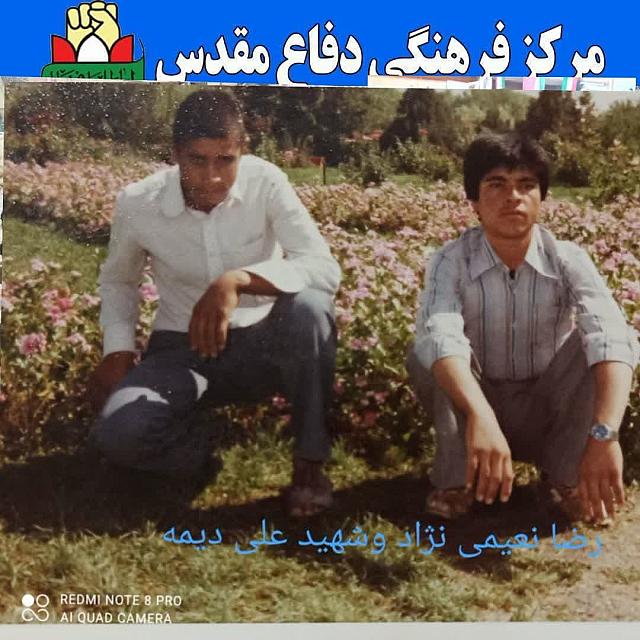 shahidalidimeh (15)