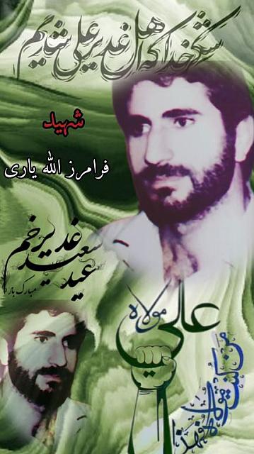shahid313 (219)