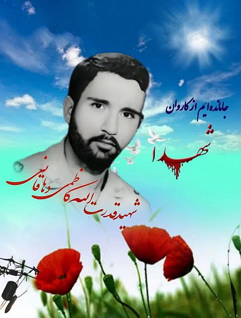 shahiddahaghani (13)