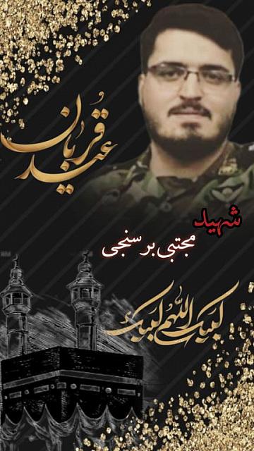 shahid313 (230)
