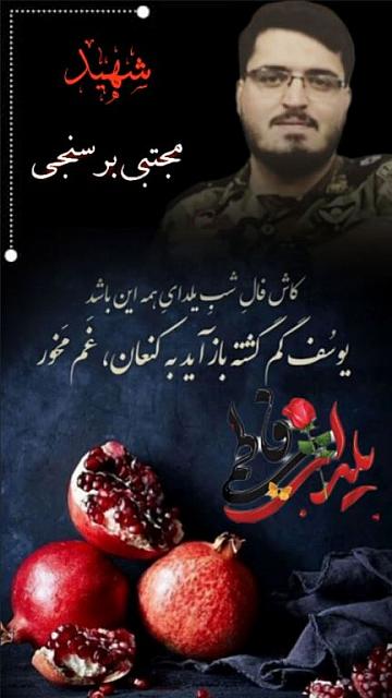 shahid313 (250)