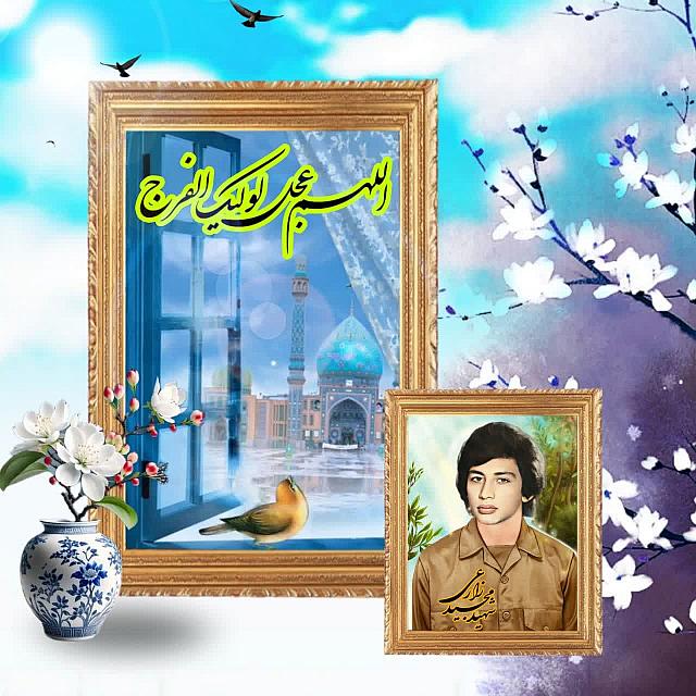 شهید مجید زارعی