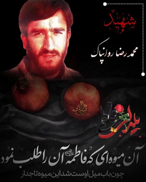 shahid313 (337)