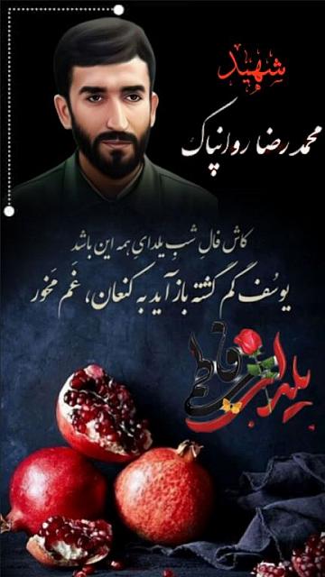 shahid313 (339)
