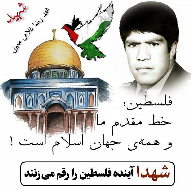 shahid313 (343)