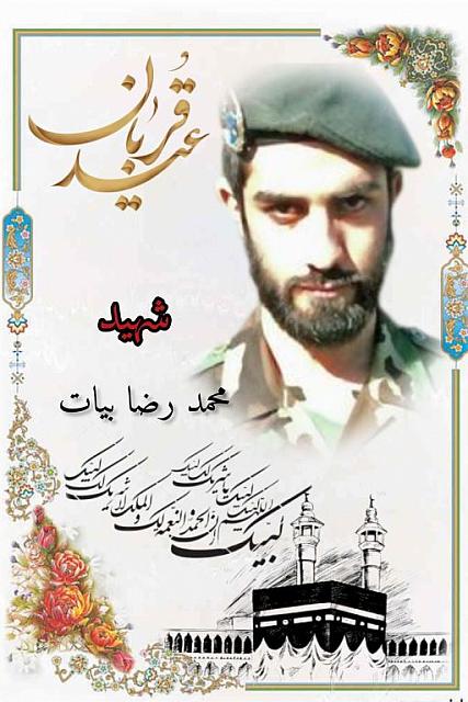 shahid313 (329)