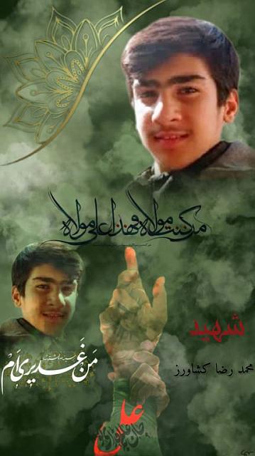 shahid313 (293)