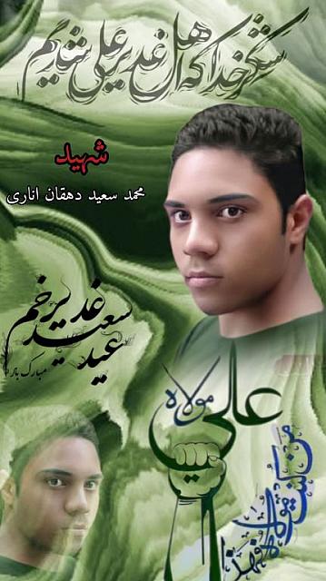 shahid313 (295)