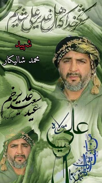 shahid313 (297)