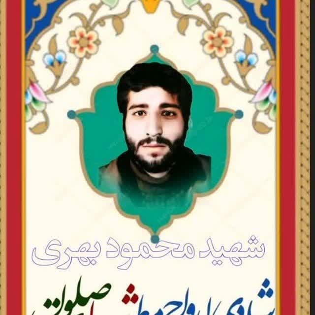 shahidbahri (8)