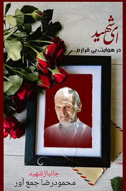 شهید محمود رضا جمع آور