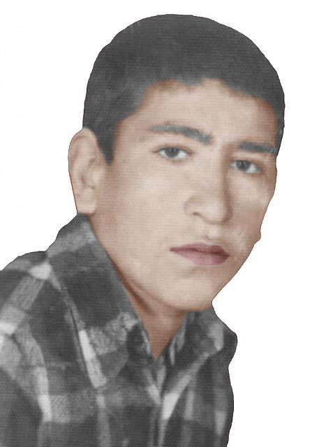 seyed ahmad eftekhary