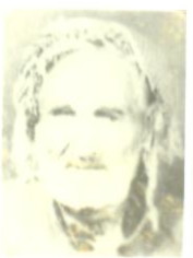 6533617
