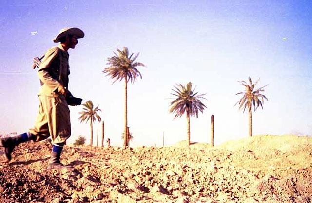 Shafighefakeh.ir (119)
