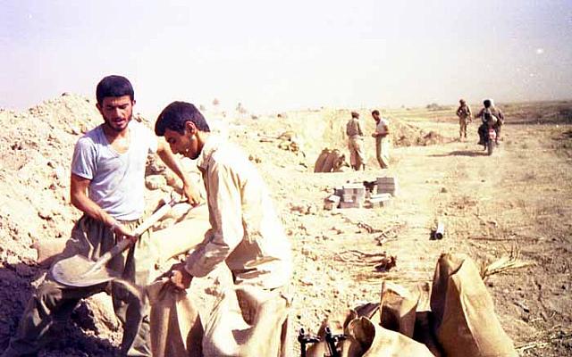 Shafighefakeh.ir (135)