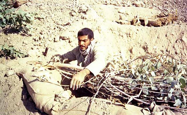 Shafighefakeh.ir (149)