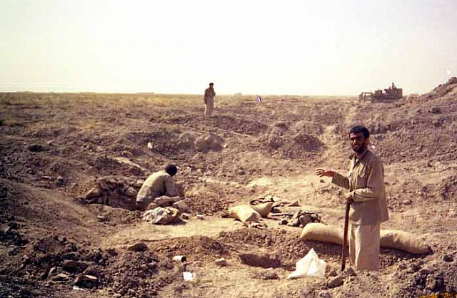 Shafighefakeh.ir (156)
