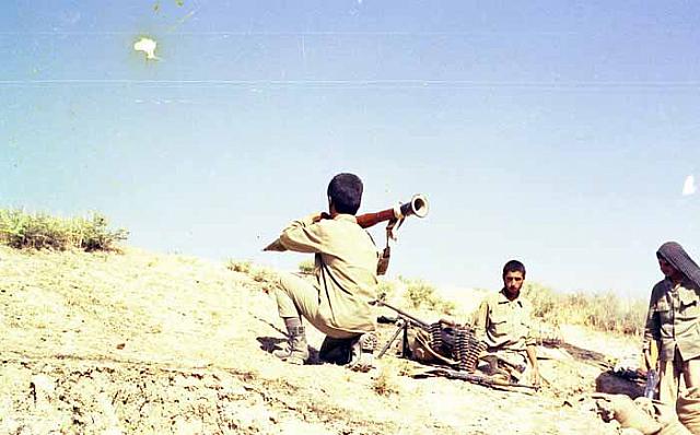 Shafighefakeh.ir (233)