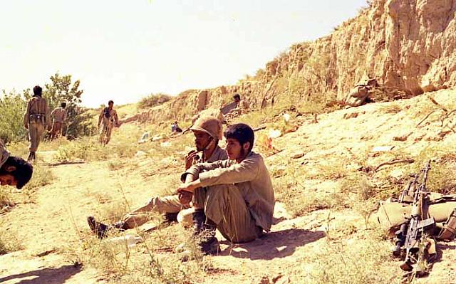 Shafighefakeh.ir (235)