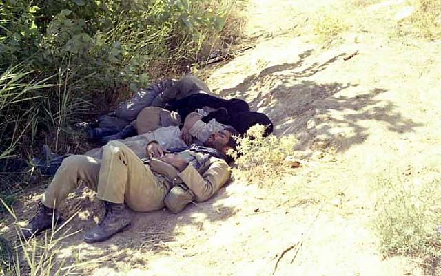 Shafighefakeh.ir (236)