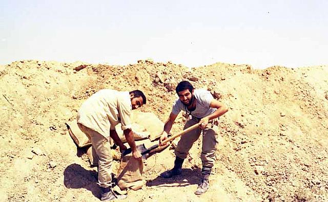 Shafighefakeh.ir (298)
