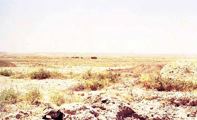 Shafighefakeh.ir (306)