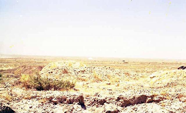 Shafighefakeh.ir (308)