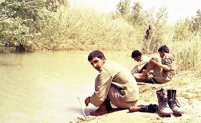 Shafighefakeh.ir (312)