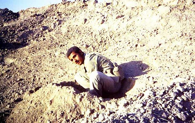 Shafighefakeh.ir (41)